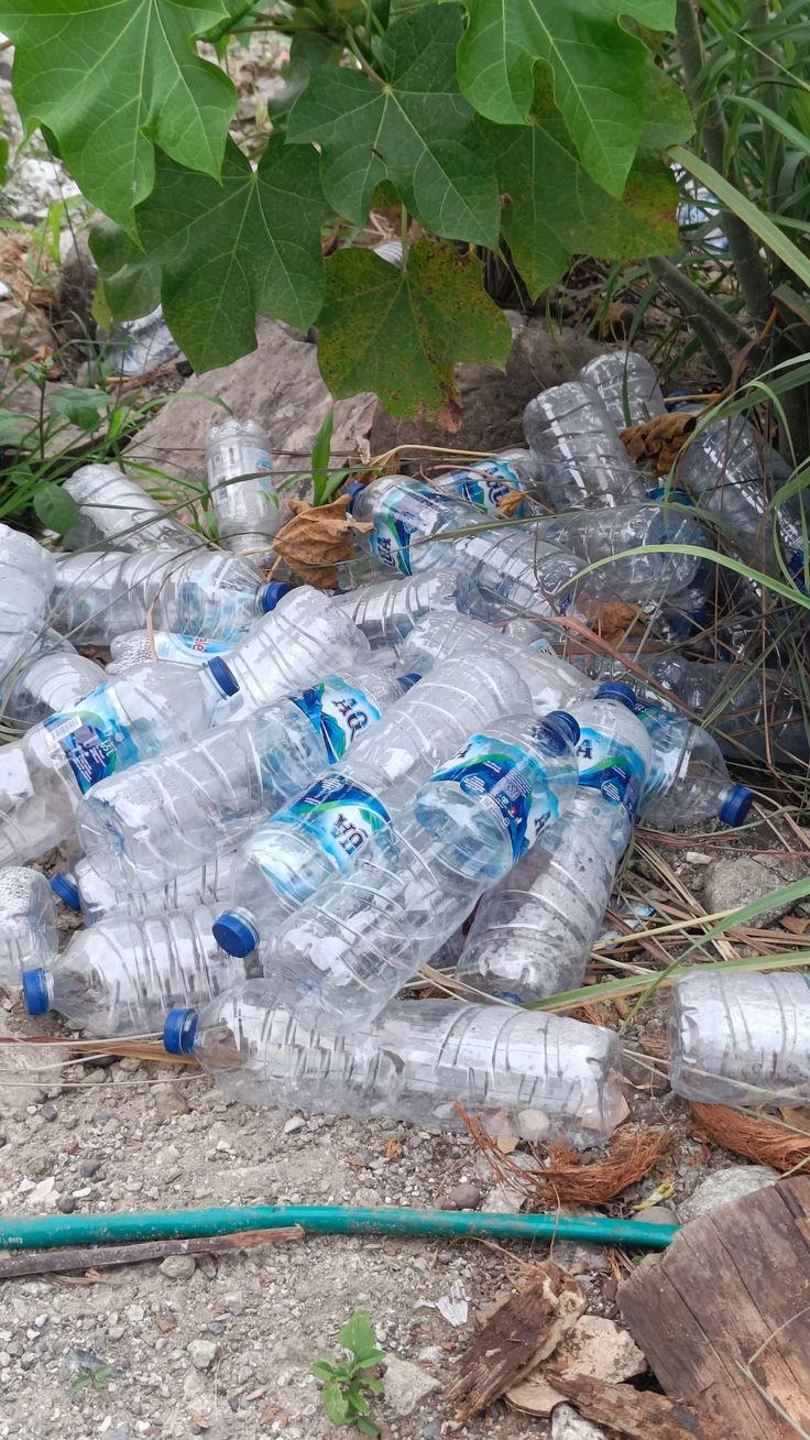 Foto Plastik & Botol